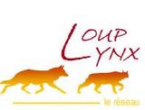 logo_loup_lynx