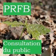 Participation du public : programme régional de la forêt et du bois 2018-2027 région Grand Est