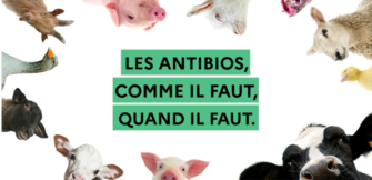 Campagne 2020 - « Les antibios, comme il faut, quand il faut »